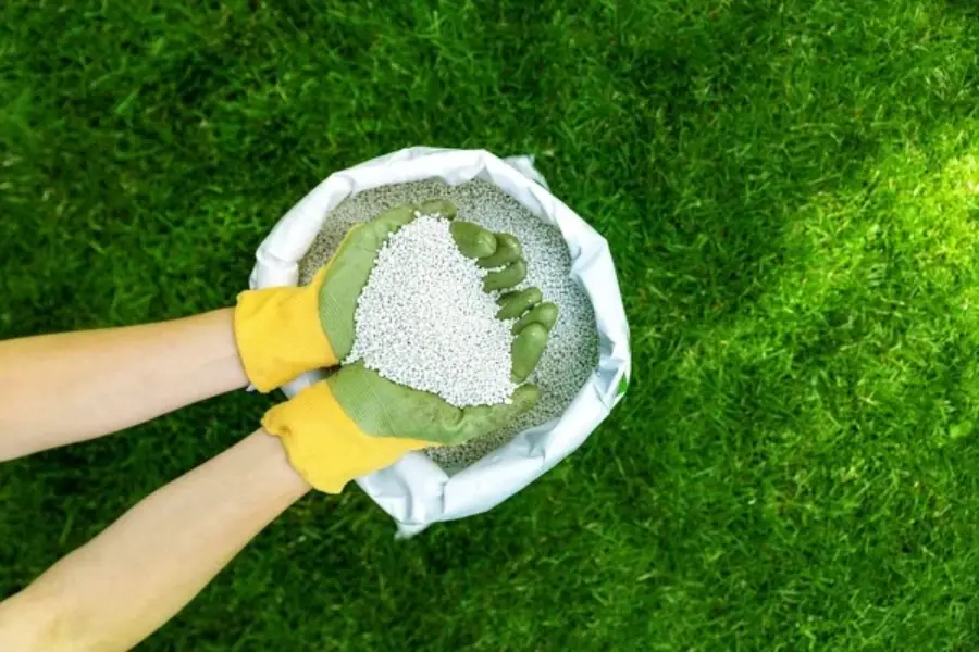 How Lawn Fertilizing Enhances Your Yard’s Color and Texture Aurora, IL How Lawn Fertilizing Enhances Your Yard’s Color and Texture Aurora, IL