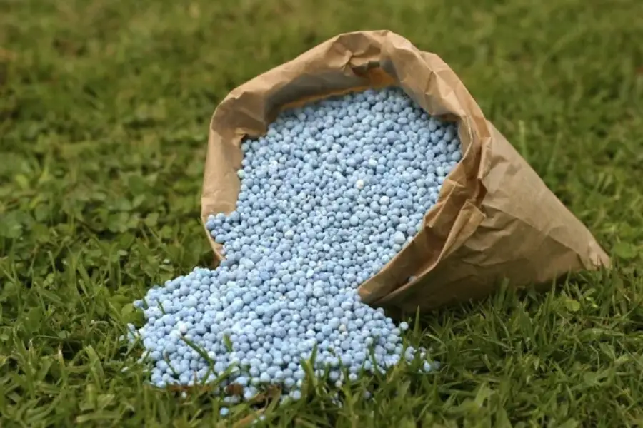 How Lawn Fertilizing Enhances Your Yard’s Color and Texture in Aurora, IL How Lawn Fertilizing Enhances Your Yard’s Color and Texture in Aurora, IL