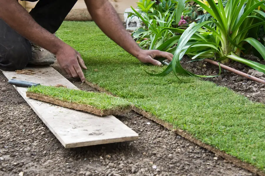 How Turf Installation Transforms Your Outdoor Space in Aurora, IL How Turf Installation Transforms Your Outdoor Space in Aurora, IL